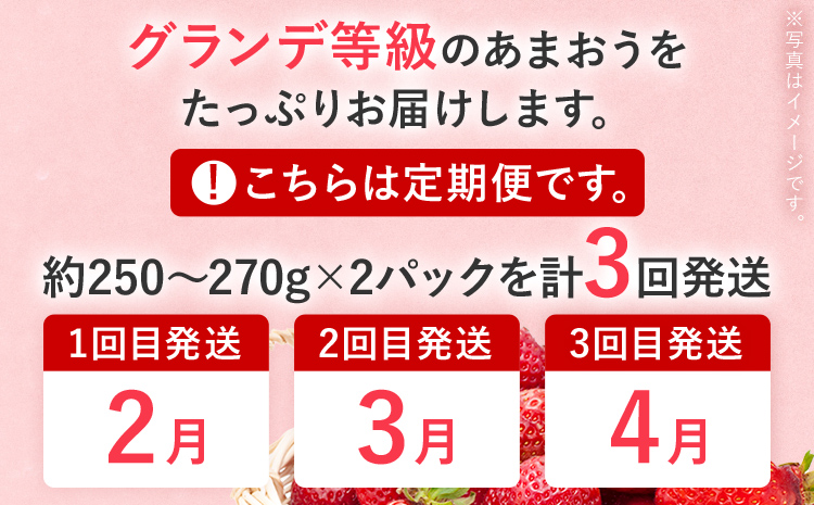 【2026年発送先行予約】あまおう2パック×3回発送定期便 (2月、3月、4月発送) 定期便 約250～270g×2パック いちご フルーツ 果物 あまおう 苺 イチゴ 福岡【発送時期2026年2月、3月、4月】