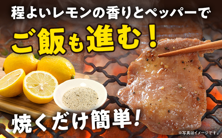 牛タン 塩レモン 人気 計1.2kg お試し おすすめ 塩ペッパー味 牛肉 牛たん 肉 ばり旨 スライス 300g×4パック タン中 タン元 レモン 焼肉 焼き肉 厳選 BBQ 冷凍 アウトドア バーベキュー