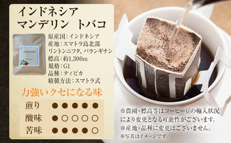 数量限定 コーヒー ドリップバッグ 5種類 無糖 送料無料 グァテマラ ブラジル インドネシア エチオピア コチャレ ゲイシャ 全種セット