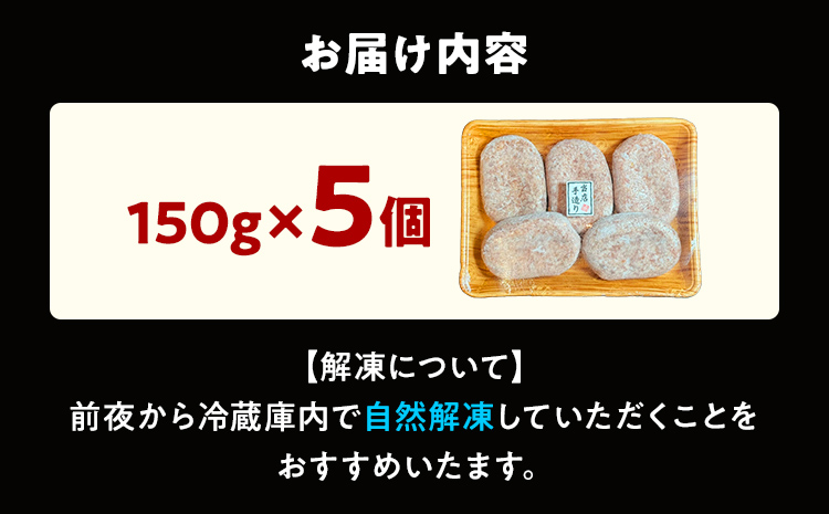 馬肉ハンバーグ 150g×5個 肉 馬 焼くだけ 簡単調理 冷凍 ヘルシー 低脂肪 高タンパク質 惣菜 おかず お弁当 カロリー控えめ 豚肉 ジューシー 旨味 馬バーグ グルメ お取り寄せ