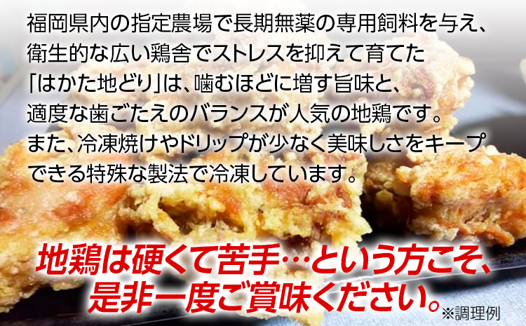 はかた地どり 3種 食べくらべ 約3kg セット (もも・むね・ぶつ切り) お取り寄せグルメ お取り寄せ 福岡 お土産 九州 ご当地グルメ 福岡土産 取り寄せ 福岡県 食品