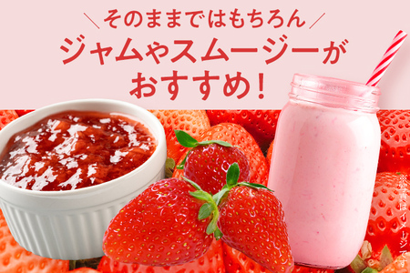 ふくおかエコ農作物認証あまおう M～Lサイズ 1箱セット あまおう イチゴ 苺 いちご フルーツ 果物 くだもの 福岡県産 お取り寄せグルメ お取り寄せ 福岡 お土産 九州 福岡土産 取り寄せ グルメ 福岡県