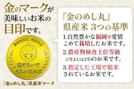 【無洗米】 金のめし丸 夢つくし 合計30kg 10kg (5kg×2袋) ×3回 定期便 白米 精米 お米 ご飯 米 精米 お取り寄せ 福岡 お土産 九州 福岡県産 グルメ 福岡県