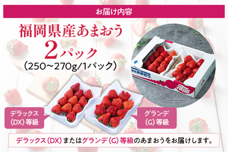 福岡産【冬】あまおう 2パック 合計約500g～540g （1パックあたり約250g～約270g） いちご 苺 果物 フルーツ 九州産 福岡県産 冷蔵 送料無料