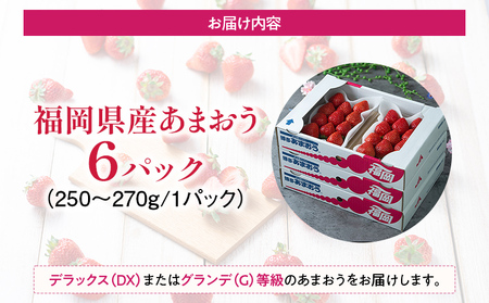 福岡産【春】あまおう 6パック 合計約1500g～1620g 約1.5kg （1パックあたり約250g～約270g） いちご 苺 果物 フルーツ 九州産 福岡県産 冷蔵 送料無料