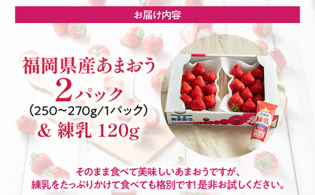 福岡産 あまおう  2パック 合計約500～540g コンデンスミルク 練乳 いちご 苺 果物 フルーツ 九州産 福岡県産 冷蔵 送料無料