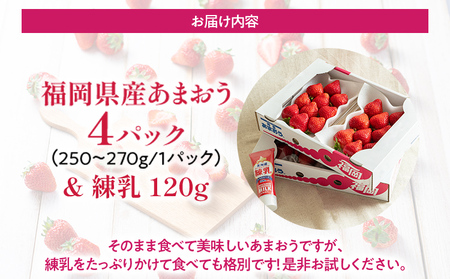 福岡産 あまおう  4パック 合計約1000g コンデンスミルク 練乳 いちご 苺 果物 フルーツ 九州産 福岡県産 冷蔵 送料無料