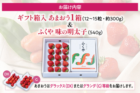 あまおう 約300g(12-15粒)ギフト箱 ＆ ふくや味の明太子 540g 明太子 惣菜 あまおう イチゴ いちご スイーツ 果物 フルーツ 送料無料