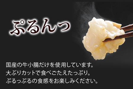 博多もつ鍋セット あごだし醤油味 もつ鍋 鍋 モツ鍋 もつ 国産牛 小腸 3～4人前 ちゃんぽん麺 鍋セット グルメ 博多 九州 牛もつ 醤油 ホルモン 冷凍 スープ