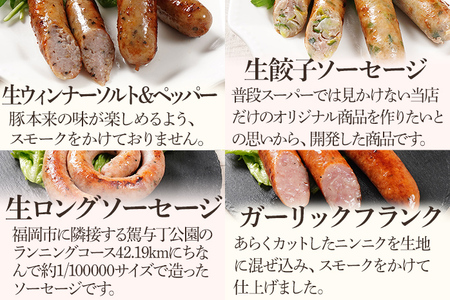 10種類のソーセージ 食べ比べ セット（Oセット） ウィンナー 生ウィンナー うえすたん セット 食べ比べ 詰め合わせ 福岡県 志免町