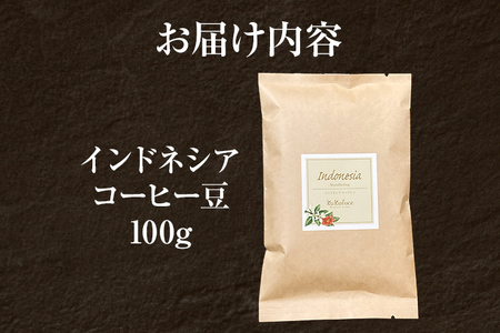 コーヒー豆 インドネシア マンデリン トバコ 100g お試し 自家焙煎 ドリンク 飲料