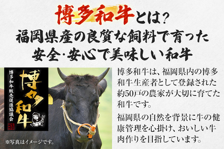 【厳選肉専門店 ふじ匠】 博多和牛 サイコロステーキ 肉 牛肉 博多和牛 もも肉 ウデ肉 肉専用オリジナルスパイス付 福岡 グルメ 贈り物 冷凍 ギフト 柔らかい ステーキ 丼 お取り寄せ 食品