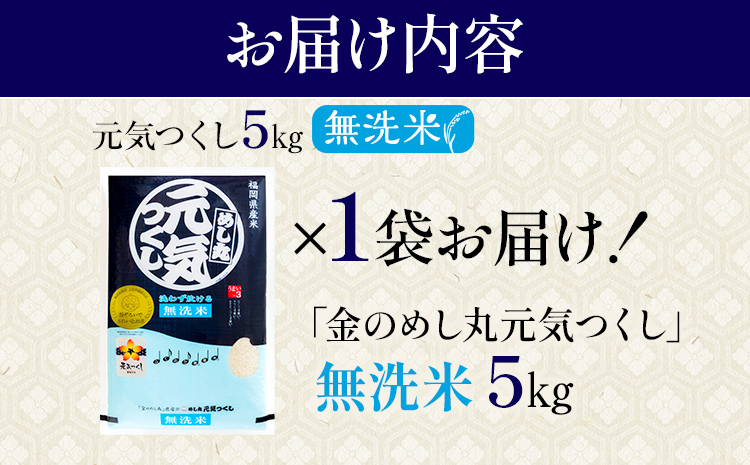 【無洗米】令和7年産 金のめし丸 元気つくし 精米 5kg 米 無洗米 元気つくし 森光商店 老舗 福岡 お米 ごはん ご飯 お弁当 おにぎり 金のめし丸県産米 福岡ブランド米 めし丸 志免 志免町 福岡県