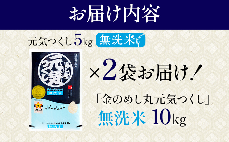 【無洗米】令和7年産 金のめし丸 元気つくし 精米 10kg（5kg×2） 米 無洗米 元気つくし 森光商店 老舗 福岡 お米 ごはん ご飯 お弁当 おにぎり 金のめし丸県産米 福岡ブランド米 めし丸 志免 志免町 福岡県