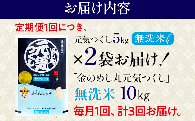 【無洗米】 令和7年産 金のめし丸 元気つくし 合計30kg 10kg (5kg×2袋) ×3回 定期便 白米 精米 お米 ご飯 米 精米 お取り寄せ 福岡 お土産 九州 福岡県産 グルメ 福岡県