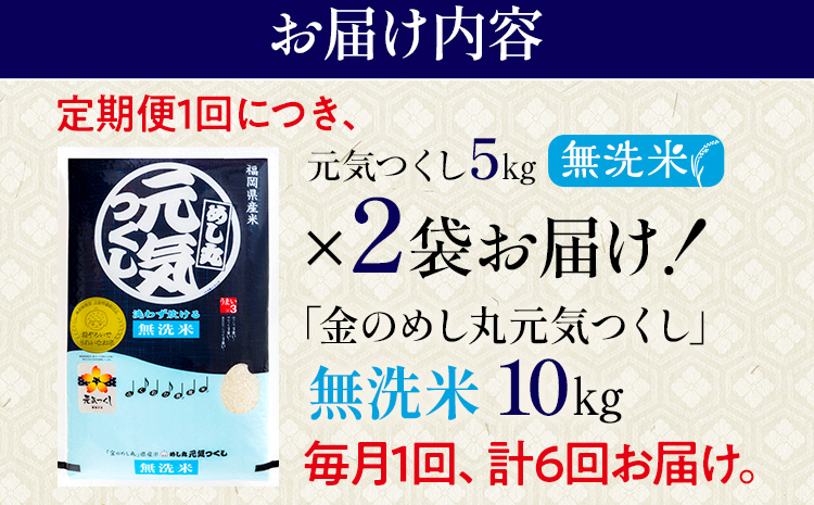 【無洗米】 令和7年産 金のめし丸 元気つくし 合計60kg 10kg (5kg×2袋) ×6回 定期便 白米 精米 お米 ご飯 米 精米 お取り寄せ 福岡 お土産 九州 福岡県産 グルメ 福岡県