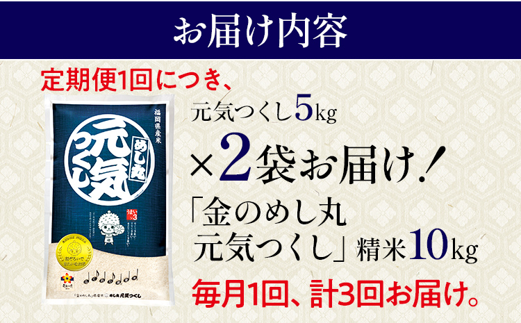 令和7年産 金のめし丸 元気つくし 合計30kg 10kg (5kg×2袋) ×3回 定期便 白米 精米 お米 ご飯 米 精米 お取り寄せ 福岡 お土産 九州 福岡県産 グルメ 福岡県