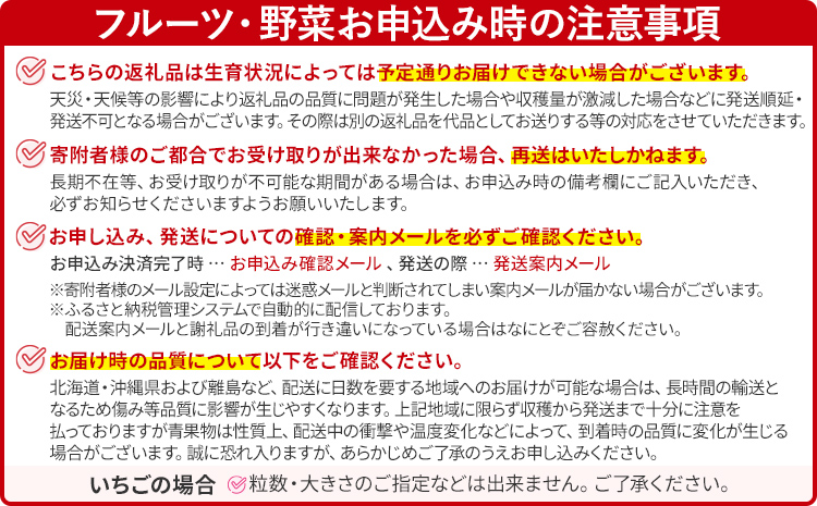 あまおう 産地直送 約250g×4パック 福岡県産 いちご 朝採れ ふくおかエコ農産物認証 苺 フルーツ イチゴ 果物 くだもの ストロベリー ichigo ケーキ スイーツ 【3月〜4月末頃発送予定】※北海道・沖縄・離島は配送不可