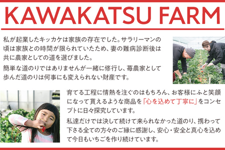 ふくおかエコ農作物認証あまおう G以上 1箱セット あまおう イチゴ 苺 いちご フルーツ 果物 くだもの 福岡県産 お取り寄せグルメ お取り寄せ 福岡 お土産 九州 福岡土産 取り寄せ グルメ 福岡県