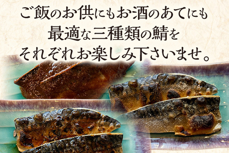 美味しい鯖をたくさん食べたい 鯖 さば サバ 惣菜 塩サバ みりん干し 鯖味噌 3種セット 塩さば二枚 さばのみりん干し二枚 鯖味噌煮二枚 食べ比べ おかず 魚 お酒のアテ おつまみ 朝食 お弁当