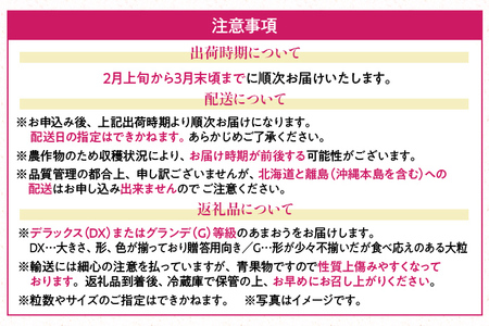 福岡産【春】あまおう 4パック 合計約1000g～1080g 約1kg （1パックあたり約250g～約270g） いちご 苺 果物 フルーツ 九州産 福岡県産 冷蔵 送料無料