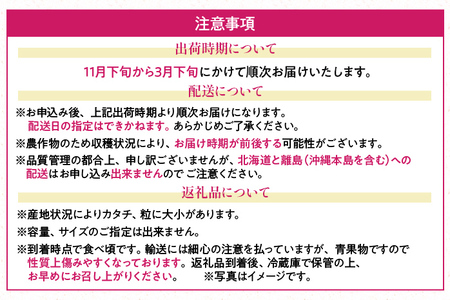 福岡産 あまおう 約300g  (12～15粒) 1箱 いちご 苺 果物 フルーツ 九州産 福岡県産 冷蔵 ギフト箱 箱入り ギフト 贈り物 送料無料