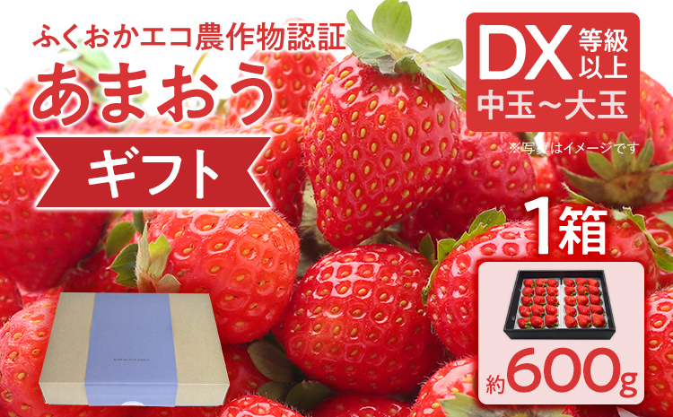 ふくおかエコ農作物認証あまおう ギフト DX等級以上 1箱セット あまおう イチゴ 苺 いちご フルーツ 果物 くだもの 福岡県産 お取り寄せグルメ お取り寄せ 福岡 お土産 九州 福岡土産 取り寄せ グルメ 福岡県
