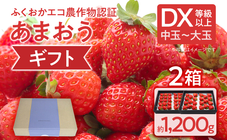 ふくおかエコ農作物認証あまおう ギフト DX等級以上 2箱セット あまおう イチゴ 苺 いちご フルーツ 果物 くだもの 福岡県産 お取り寄せグルメ お取り寄せ 福岡 お土産 九州 福岡土産 取り寄せ グルメ 福岡県