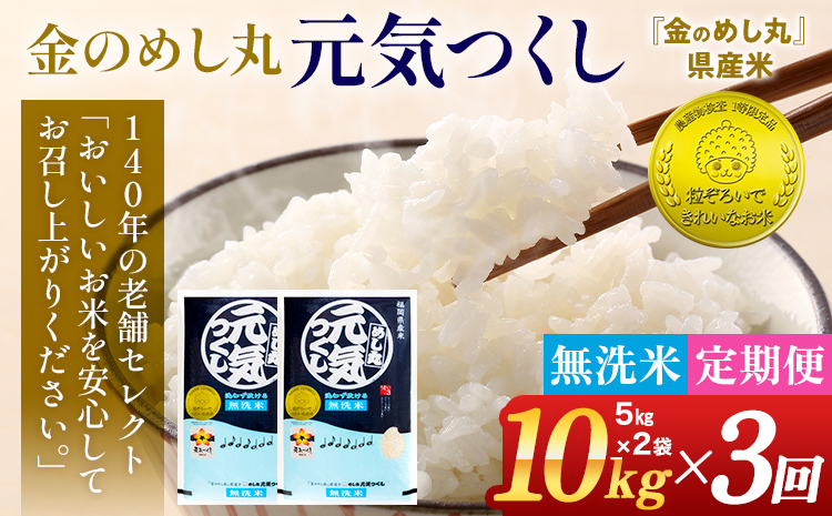 【無洗米】 令和7年産 金のめし丸 元気つくし 合計30kg 10kg (5kg×2袋) ×3回 定期便 白米 精米 お米 ご飯 米 精米 お取り寄せ 福岡 お土産 九州 福岡県産 グルメ 福岡県