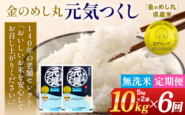 【無洗米】 令和7年産 金のめし丸 元気つくし 合計60kg 10kg (5kg×2袋) ×6回 定期便 白米 精米 お米 ご飯 米 精米 お取り寄せ 福岡 お土産 九州 福岡県産 グルメ 福岡県