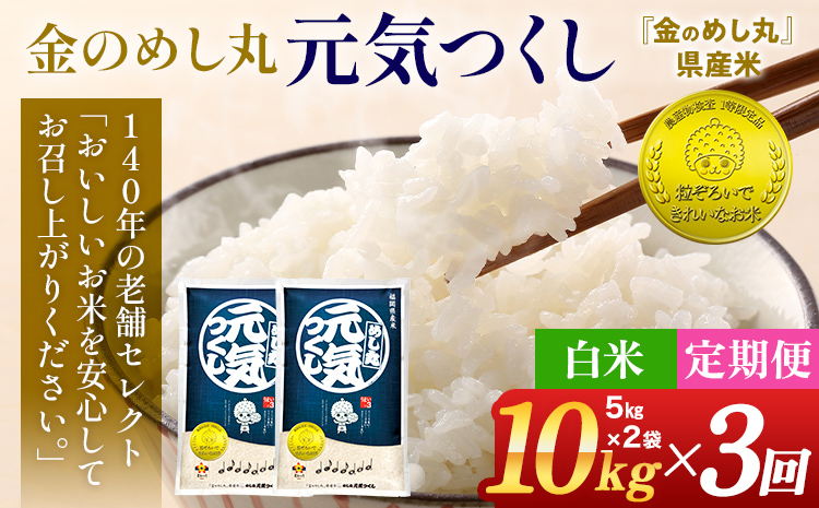 令和7年産 金のめし丸 元気つくし 合計30kg 10kg (5kg×2袋) ×3回 定期便 白米 精米 お米 ご飯 米 精米 お取り寄せ 福岡 お土産 九州 福岡県産 グルメ 福岡県
