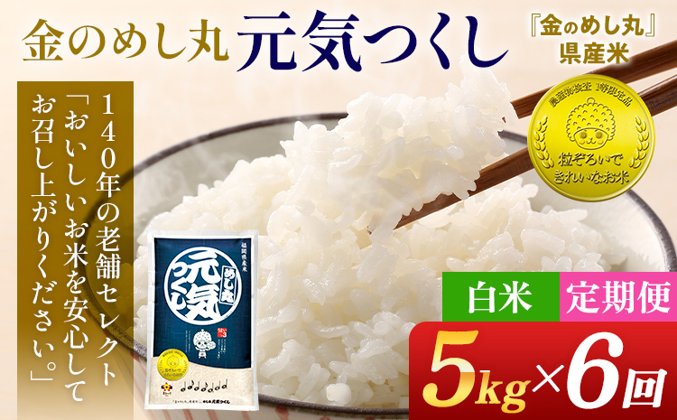 【6回定期便】 令和7年産 白米 金のめし丸 元気つくし 5kg 定期便 半年 福岡 お米 米 ごはん ご飯 お弁当 おにぎり 金のめし丸県産米 福岡ブランド米 めし丸 ライス rice 飯