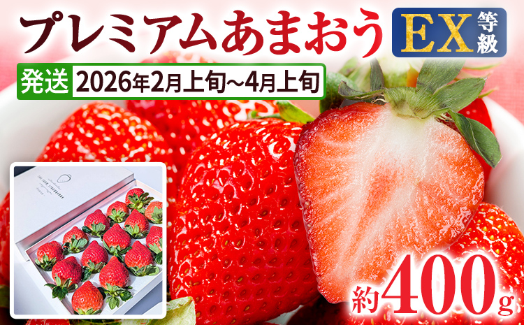 【2026年発送先行予約】プレミアム あまおう EX（化粧箱入り）いちご フルーツ 果物 あまおう 約400g×1パック 苺 イチゴ ギフト 贈答用 贈り物 お祝い 祝い 化粧箱 福岡【発送時期2026年2月上旬～2026年4月上旬】