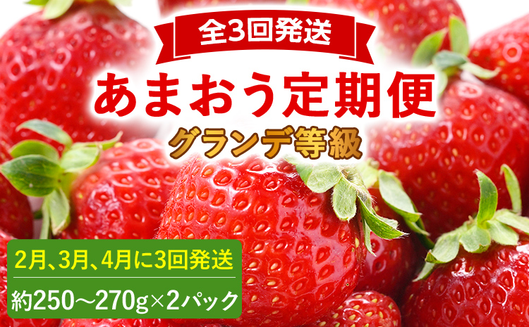 【2026年発送先行予約】あまおう2パック×3回発送定期便 (2月、3月、4月発送) 定期便 約250～270g×2パック いちご フルーツ 果物 あまおう 苺 イチゴ 福岡【発送時期2026年2月、3月、4月】