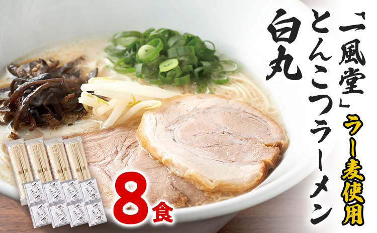ラー麦使用 「一風堂」 とんこつ ラーメン 白丸 (8食) 豚骨ラーメン ストレート麺 お取り寄せグルメ お取り寄せ 福岡 お土産 九州 ご当地グルメ 福岡土産 取り寄せ グルメ 福岡県 食品