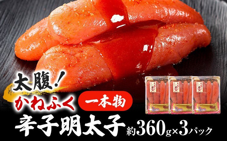太腹！ かねふく 辛子明太子 (一本物・約360g×3パック) 明太子 めんたいこ 福岡 九州 お土産 ご飯のお供 お取り寄せ ごはんのお供 お取り寄せグルメ ご当地グルメ 福岡土産 取り寄せ 食べ物 食品 特産品 福岡県 明太