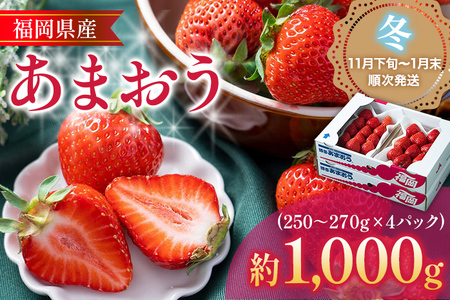 福岡産【冬】あまおう 4パック 合計約1000g～1080g 約1kg （1パックあたり約250g～約270g） いちご 苺 果物 フルーツ 九州産 福岡県産 冷蔵 送料無料