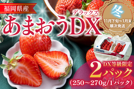 福岡産【冬】あまおうDX（デラックス）2パック いちご 苺 果物 フルーツ 九州産 福岡県産 冷蔵 送料無料 【11月下旬発送開始予定】 イチゴ フルーツ 果物 くだもの ブランド 国産 甘味 果汁