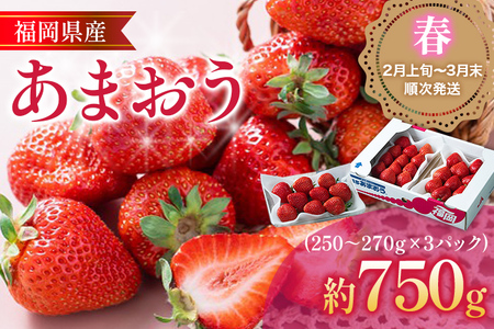 福岡産【春】あまおう 3パック 合計約750g～810g （1パックあたり約250g～約270g） いちご 苺 果物 フルーツ 九州産 福岡県産 冷蔵 送料無料