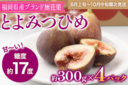 福岡県産ブランド無花果「とよみつひめ」(約300g×4パック)