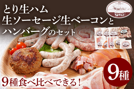 とり生ハム 生ソーセージ 生ベーコン ハンバーグのセット （Hセット） 生ハム 生ウィンナー ベーコン ハンバーグ 手作り うえすたん セット 詰め合わせ 福岡県 志免町