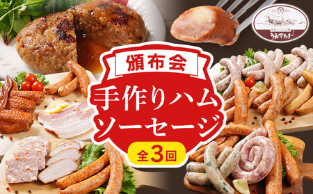 【頒布会】手造り ハムソーセージ C1・E1・O 3回お届け ウィンナー ソーセージ ハム 手羽先 燻製 チーズ あらびき ハンバーグ ソース ペッパー 餃子 生ウィンナー うえすたん セット 食べ比べ 詰め合わせ バラエティ