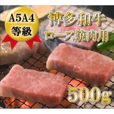[A5A4等級使用]博多和牛ロース焼肉用500g(志免町)[配送不可地域:離島]