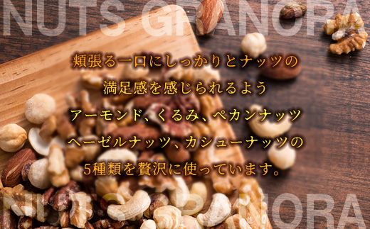 【FRUCTUS】ナッツグラノーラ 250g FR001-2