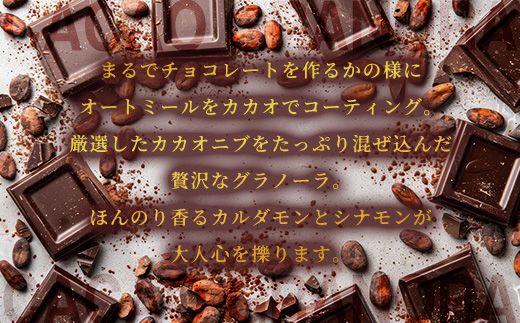 【FRUCTUS】カカオグラノーラ 250g FR003-2