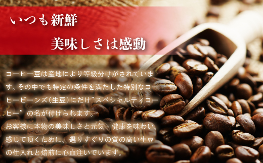 【Nanの木】自家焙煎スペシャルティコーヒー5種飲み比べセット 豆 [NK002-1] 【福岡県須恵町】