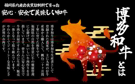 【数量限定】博多和牛 プレミアム ヒレ ステーキ 150g×2枚 合計300g SF016-1