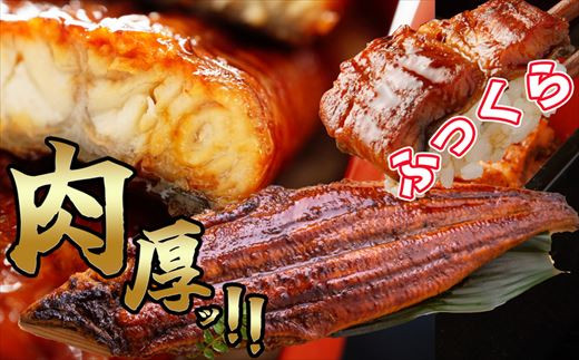 【定期便・全3回】［無頭］ ふっくら 肉厚 うなぎ蒲焼 2尾 合計2100g 700g前後×3回 SF061-1