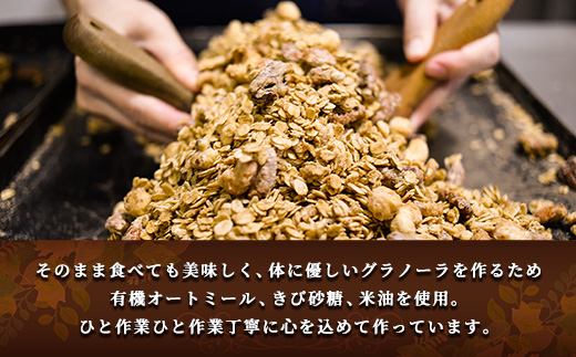 【FRUCTUS】ナッツグラノーラ 250g FR001-2