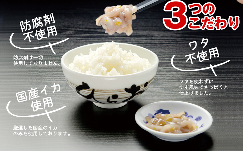 [ 天麩羅 処 ひらお ] 福岡 名物！ いかの塩辛 1160g(290g×4) HO004-1
